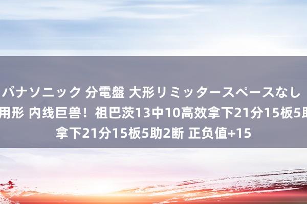 パナソニック 分電盤 大形リミッタースペースなし 露出・半埋込両用形 内线巨兽！祖巴茨13中10高效拿下21分15板5助2断 正负值+15