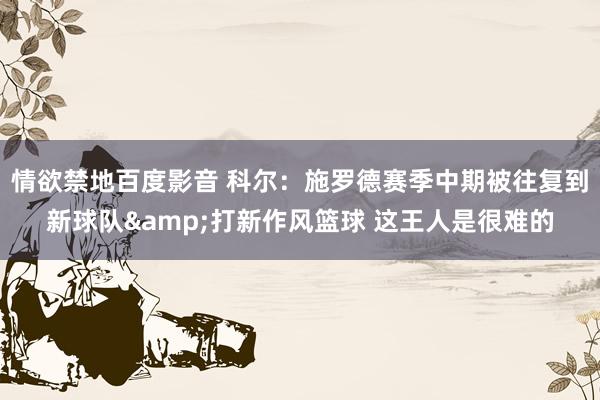 情欲禁地百度影音 科尔：施罗德赛季中期被往复到新球队&打新作风篮球 这王人是很难的