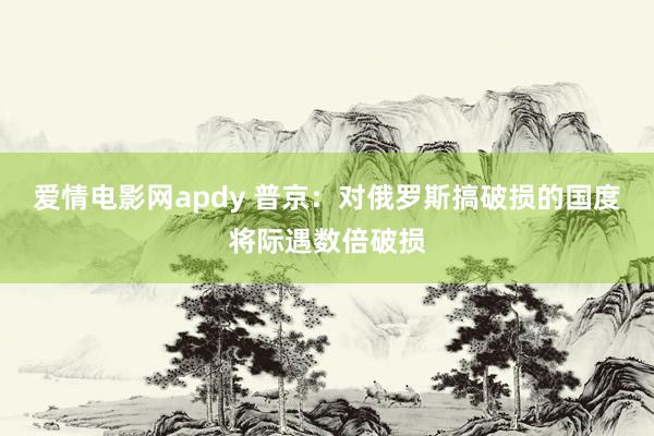 爱情电影网apdy 普京:对俄罗斯搞破损的国度将际遇数倍破损