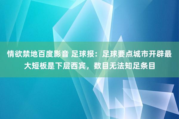 情欲禁地百度影音 足球报：足球要点城市开辟最大短板是下层西宾，数目无法知足条目
