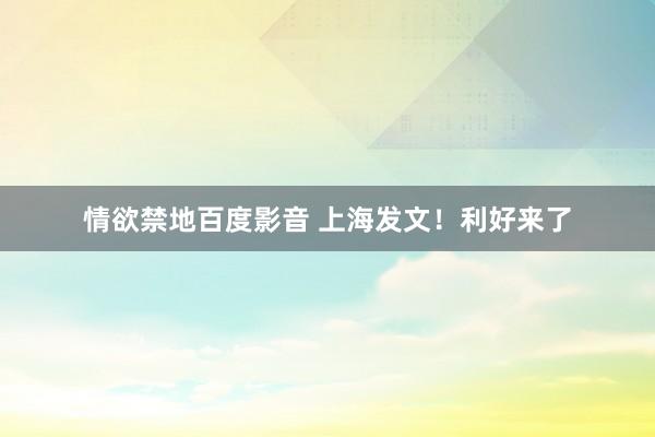情欲禁地百度影音 上海发文！利好来了