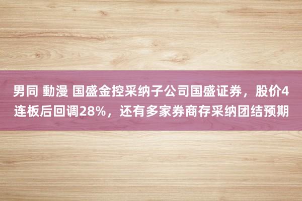 男同 動漫 国盛金控采纳子公司国盛证券，股价4连板后回调28%，还有多家券商存采纳团结预期