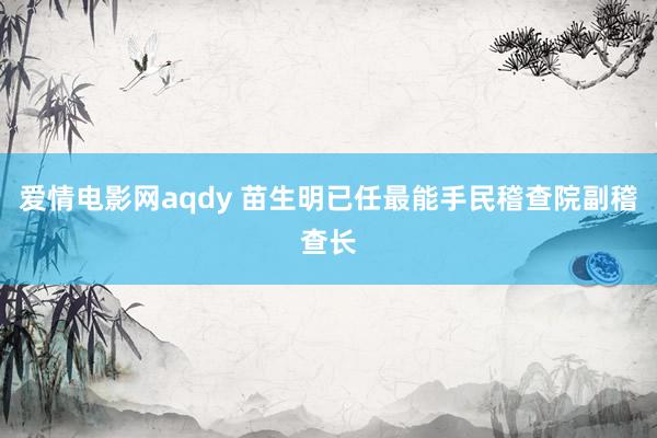 爱情电影网aqdy 苗生明已任最能手民稽查院副稽查长