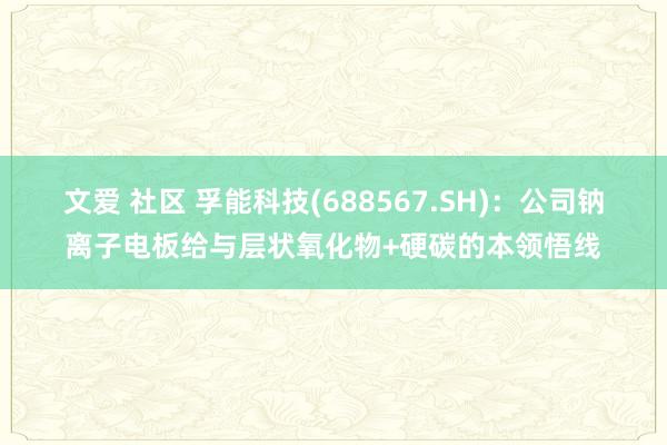 文爱 社区 孚能科技(688567.SH)：公司钠离子电板给与层状氧化物+硬碳的本领悟线