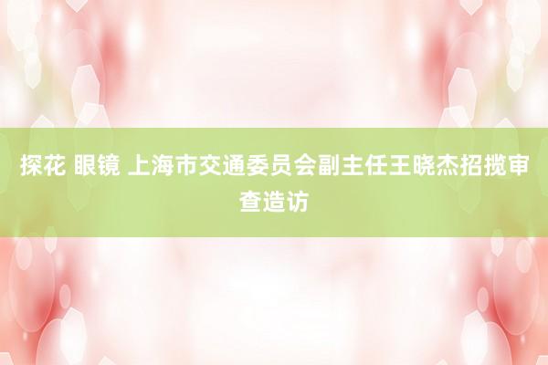 探花 眼镜 上海市交通委员会副主任王晓杰招揽审查造访