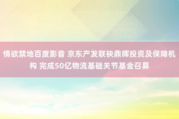 情欲禁地百度影音 京东产发联袂鼎晖投资及保障机构 完成50亿物流基础关节基金召募