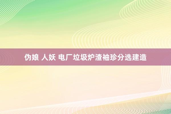 伪娘 人妖 电厂垃圾炉渣袖珍分选建造