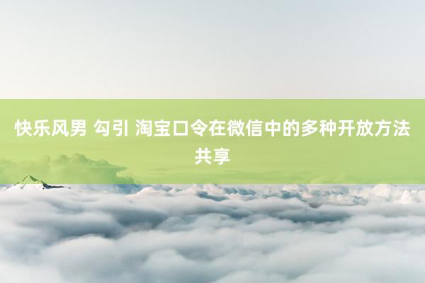 快乐风男 勾引 淘宝口令在微信中的多种开放方法共享