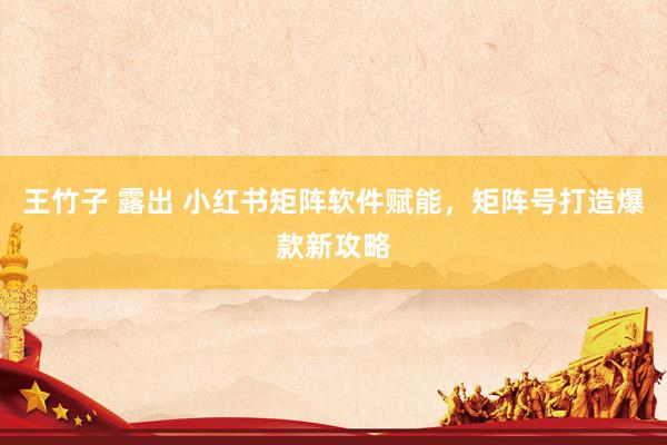 王竹子 露出 小红书矩阵软件赋能，矩阵号打造爆款新攻略