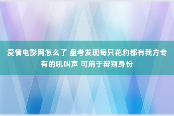 爱情电影网怎么了 盘考发现每只花豹都有我方专有的吼叫声 可用于辩别身份
