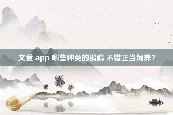 文爱 app 哪些种类的鹦鹉 不错正当饲养？