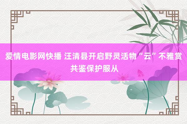 爱情电影网快播 汪清县开启野灵活物“云”不雅赏 共鉴保护服从