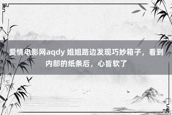 爱情电影网aqdy 姐姐路边发现巧妙箱子，看到内部的纸条后，心皆软了