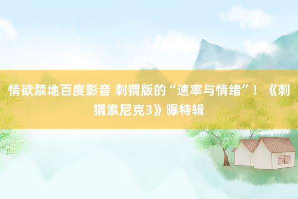 情欲禁地百度影音 刺猬版的“速率与情绪”！《刺猬索尼克3》曝特辑