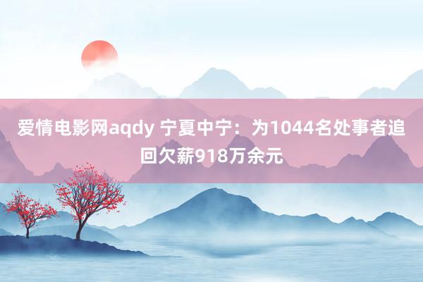 爱情电影网aqdy 宁夏中宁：为1044名处事者追回欠薪918万余元