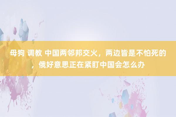 母狗 调教 中国两邻邦交火，两边皆是不怕死的，俄好意思正在紧盯中国会怎么办