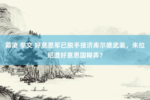 霸凌 拳交 好意思军已脱手接济库尔德武装，朱拉尼遭好意思国糊弄？