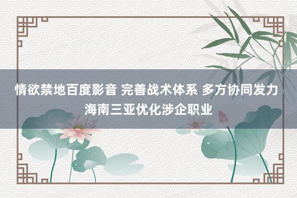 情欲禁地百度影音 完善战术体系 多方协同发力 海南三亚优化涉企职业