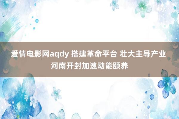 爱情电影网aqdy 搭建革命平台 壮大主导产业 河南开封加速动能颐养