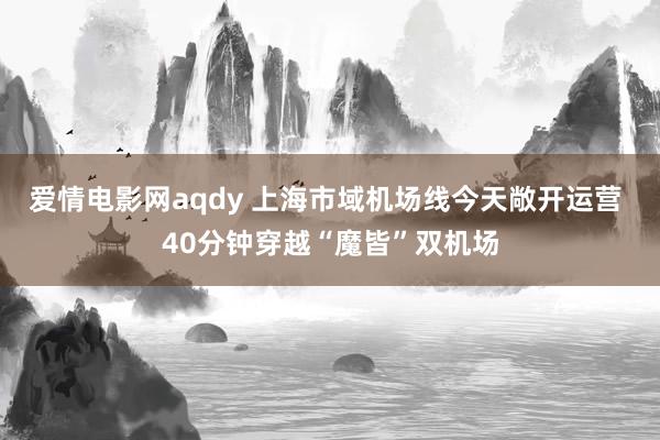 爱情电影网aqdy 上海市域机场线今天敞开运营 40分钟穿越“魔皆”双机场