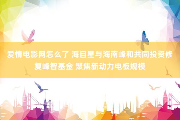爱情电影网怎么了 海目星与海南峰和共同投资修复峰智基金 聚焦新动力电板规模