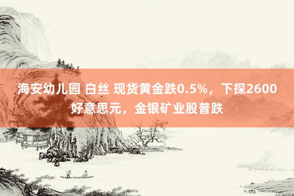海安幼儿园 白丝 现货黄金跌0.5%，下探2600好意思元，金银矿业股普跌