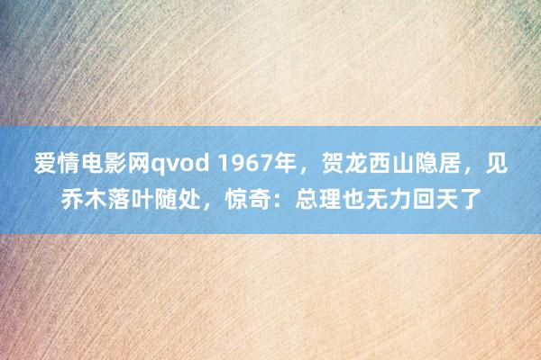 爱情电影网qvod 1967年，贺龙西山隐居，见乔木落叶随处，惊奇：总理也无力回天了