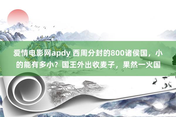 爱情电影网apdy 西周分封的800诸侯国，小的能有多小？国王外出收麦子，果然一火国