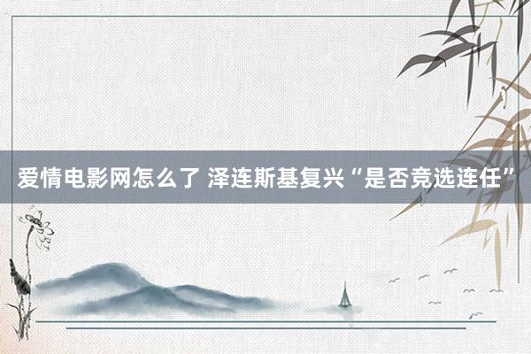爱情电影网怎么了 泽连斯基复兴“是否竞选连任”