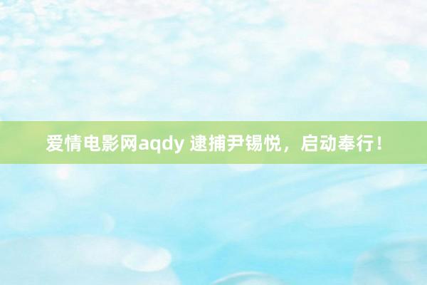 爱情电影网aqdy 逮捕尹锡悦，启动奉行！