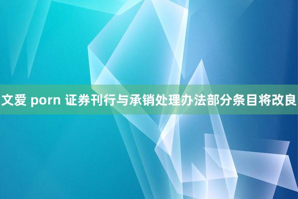 文爱 porn 证券刊行与承销处理办法部分条目将改良