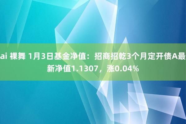 ai 裸舞 1月3日基金净值：招商招乾3个月定开债A最新净值1.1307，涨0.04%