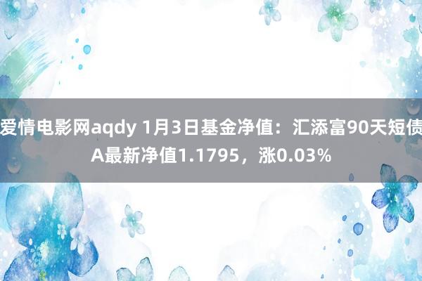 爱情电影网aqdy 1月3日基金净值：汇添富90天短债A最新净值1.1795，涨0.03%