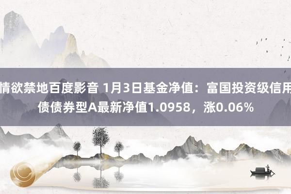 情欲禁地百度影音 1月3日基金净值：富国投资级信用债债券型A最新净值1.0958，涨0.06%