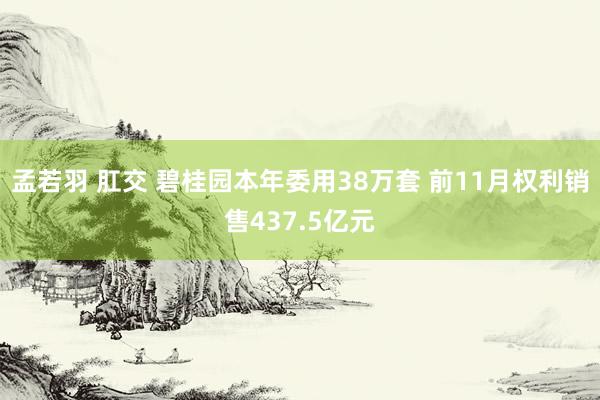 孟若羽 肛交 碧桂园本年委用38万套 前11月权利销售437.5亿元