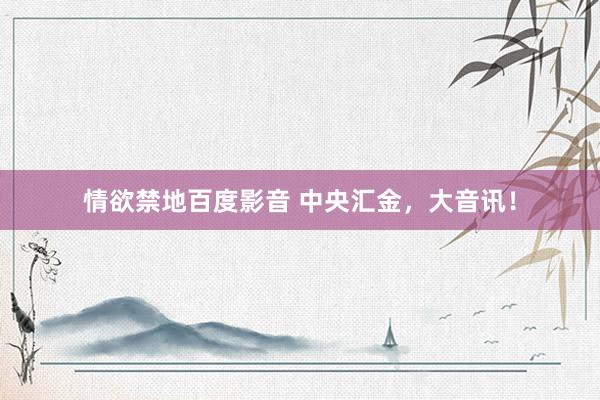 情欲禁地百度影音 中央汇金，大音讯！