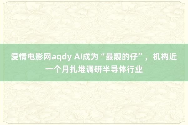爱情电影网aqdy AI成为“最靓的仔”，机构近一个月扎堆调研半导体行业