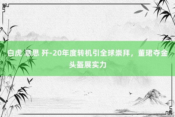 白虎 意思 歼-20年度转机引全球崇拜，董珺夺金头盔展实力