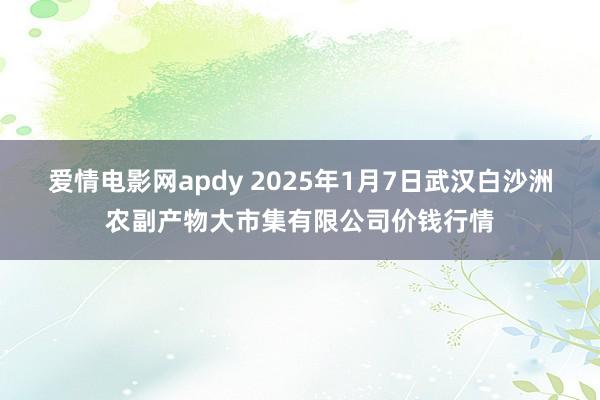 爱情电影网apdy 2025年1月7日武汉白沙洲农副产物大市集有限公司价钱行情