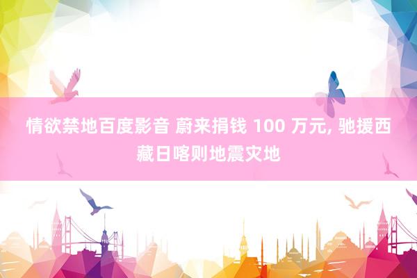 情欲禁地百度影音 蔚来捐钱 100 万元， 驰援西藏日喀则地震灾地