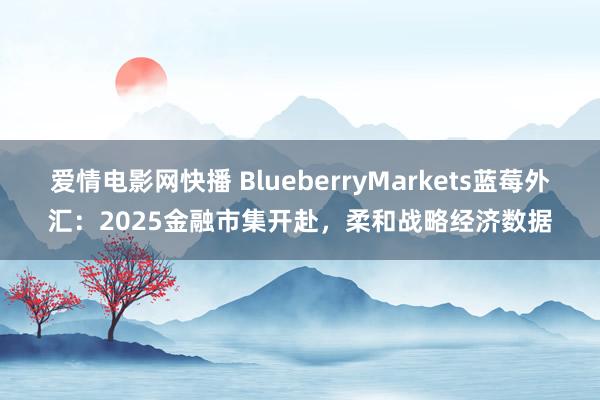 爱情电影网快播 BlueberryMarkets蓝莓外汇：2025金融市集开赴，柔和战略经济数据