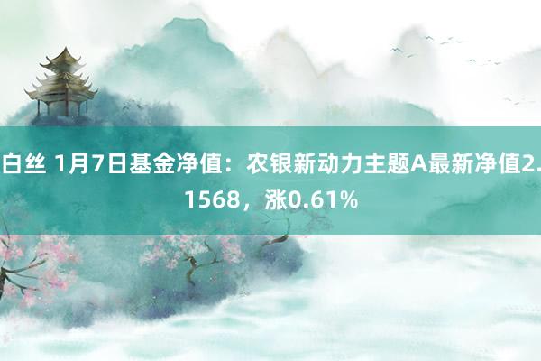 白丝 1月7日基金净值：农银新动力主题A最新净值2.1568，涨0.61%