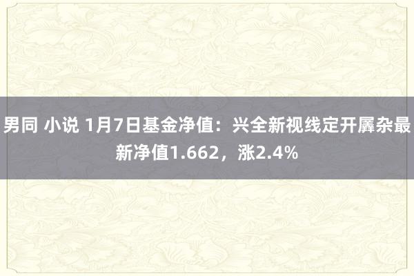 男同 小说 1月7日基金净值：兴全新视线定开羼杂最新净值1.662，涨2.4%