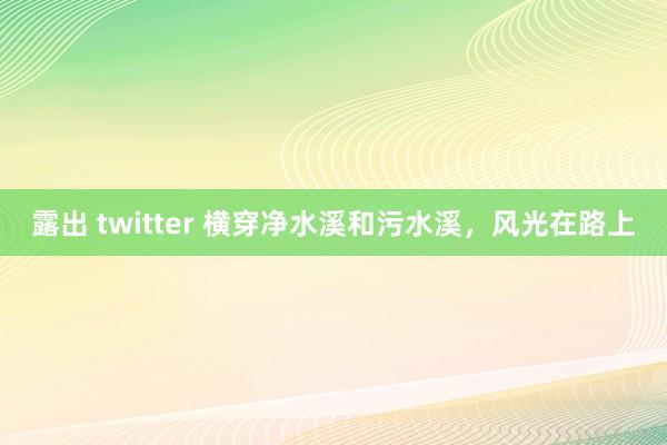 露出 twitter 横穿净水溪和污水溪，风光在路上