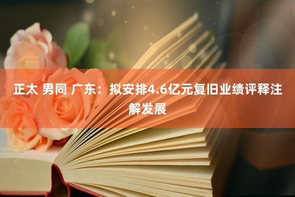 正太 男同 广东：拟安排4.6亿元复旧业绩评释注解发展