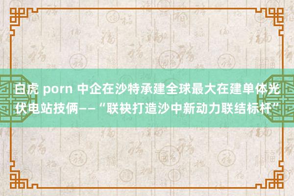白虎 porn 中企在沙特承建全球最大在建单体光伏电站技俩——“联袂打造沙中新动力联结标杆”