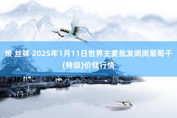 绫 丝袜 2025年1月11日世界主要批发阛阓葡萄干(特级)价钱行情