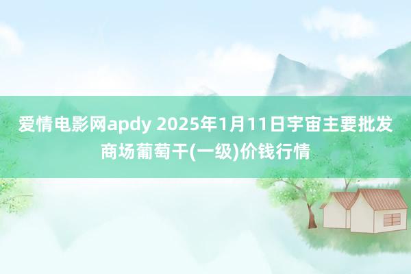 爱情电影网apdy 2025年1月11日宇宙主要批发商场葡萄干(一级)价钱行情