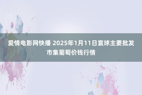 爱情电影网快播 2025年1月11日寰球主要批发市集葡萄价钱行情