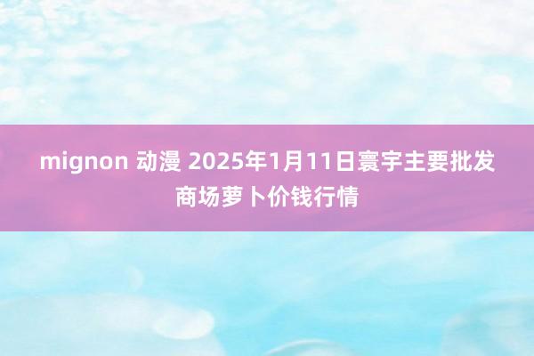 mignon 动漫 2025年1月11日寰宇主要批发商场萝卜价钱行情